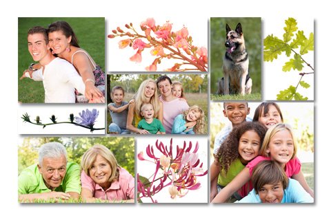 Velkommen til Bach Blomsterterapiforeningen! Velkommen til Bach Blomsterterapiforeningen!